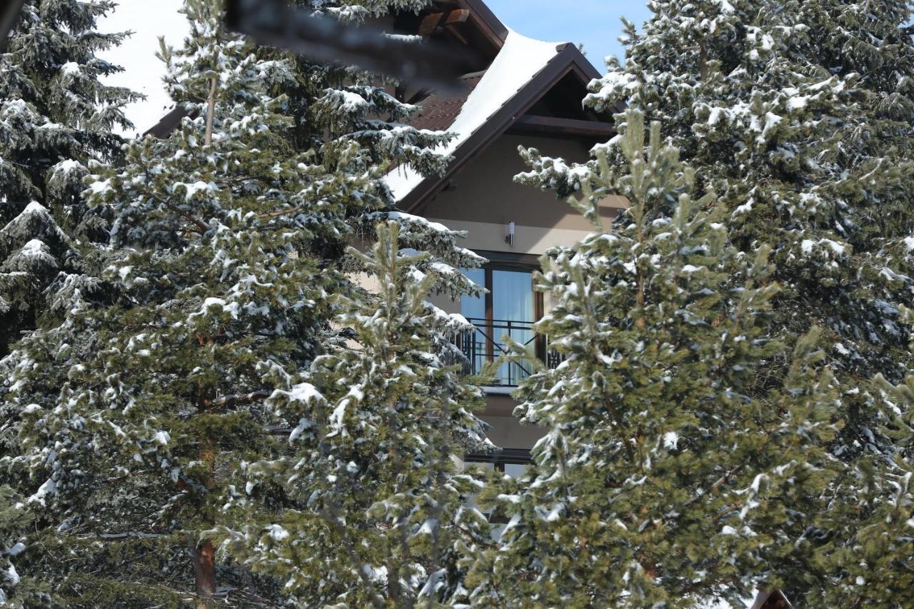 Mipet Apartmani Zlatibor Exterior foto